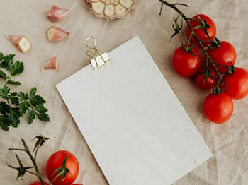 鸡舍垫沙的五大好处_合肥水产养殖技术