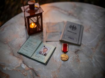 柑桔锈蜘蛛的化学防治_合肥水产养殖技术