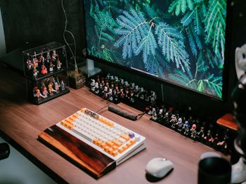 网箱养草鱼_合肥水产养殖技术