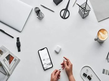 寒冷季节家兔皮肤真菌病传播途径_合肥水产养殖技术