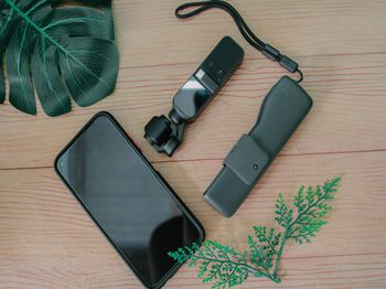 狗皮肤病的治疗方法_合肥水产养殖技术