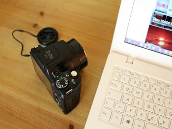 牛传染性口炎的诊治_合肥水产养殖技术